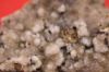Image de Quartz Ponpons Yonne