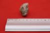 Image de Quartz Yonne