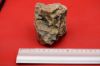 Image de Quartz Yonne
