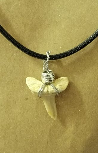 Image de Pendentif Dent de Requin fossile